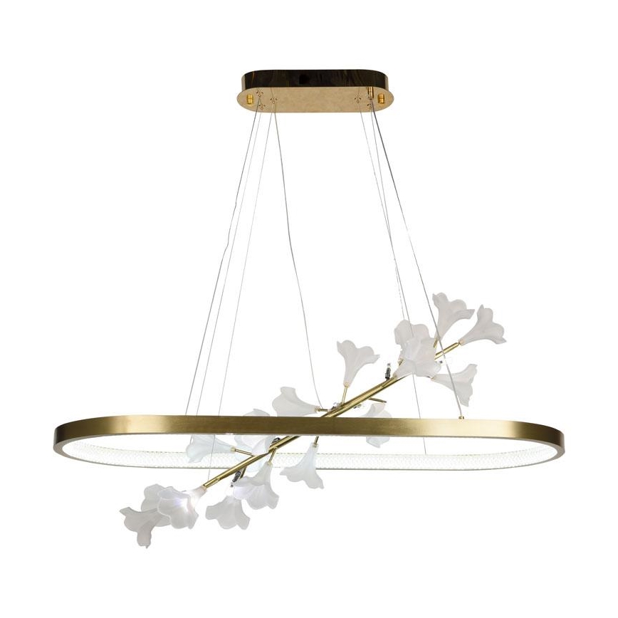 LED Zatemnitveni lestenec na vrvici LED/55W/230V 3000-6500K + Daljinski upravljalnik