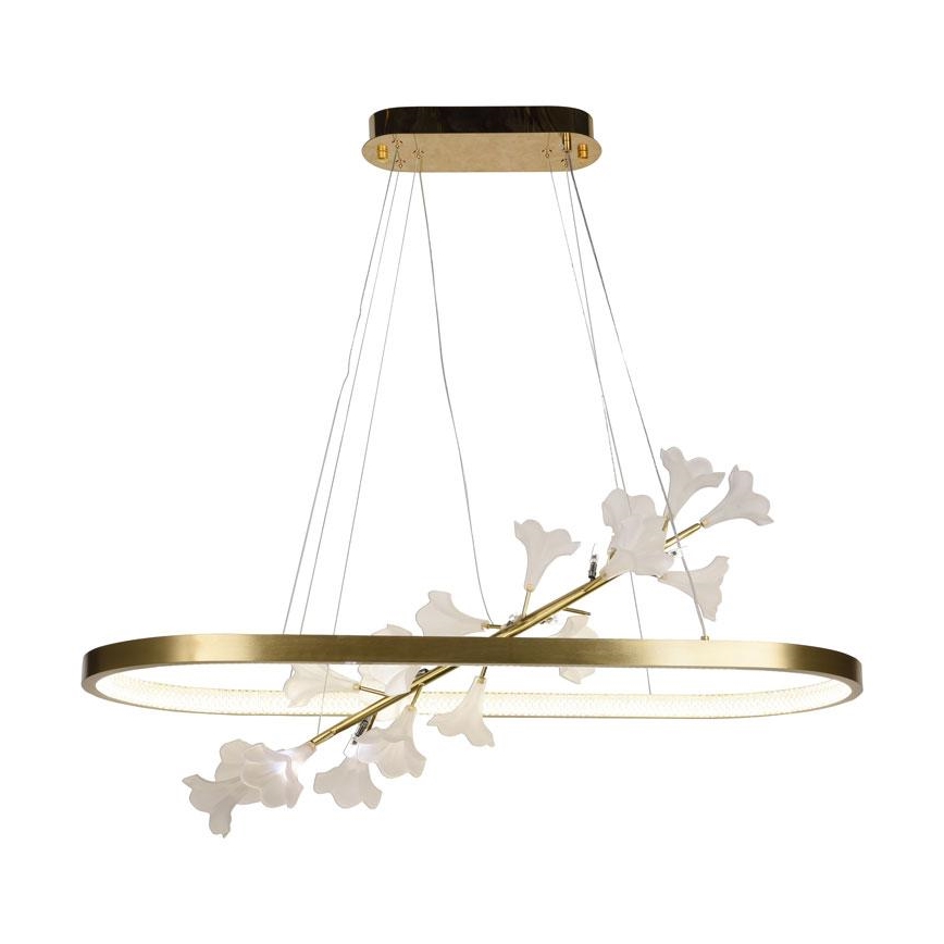 LED Zatemnitveni lestenec na vrvici LED/55W/230V 3000-6500K + Daljinski upravljalnik