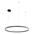 LED Zatemnitveni lestenec na vrvici LED/55W/230V 3000-6500K + Daljinski upravljalnik