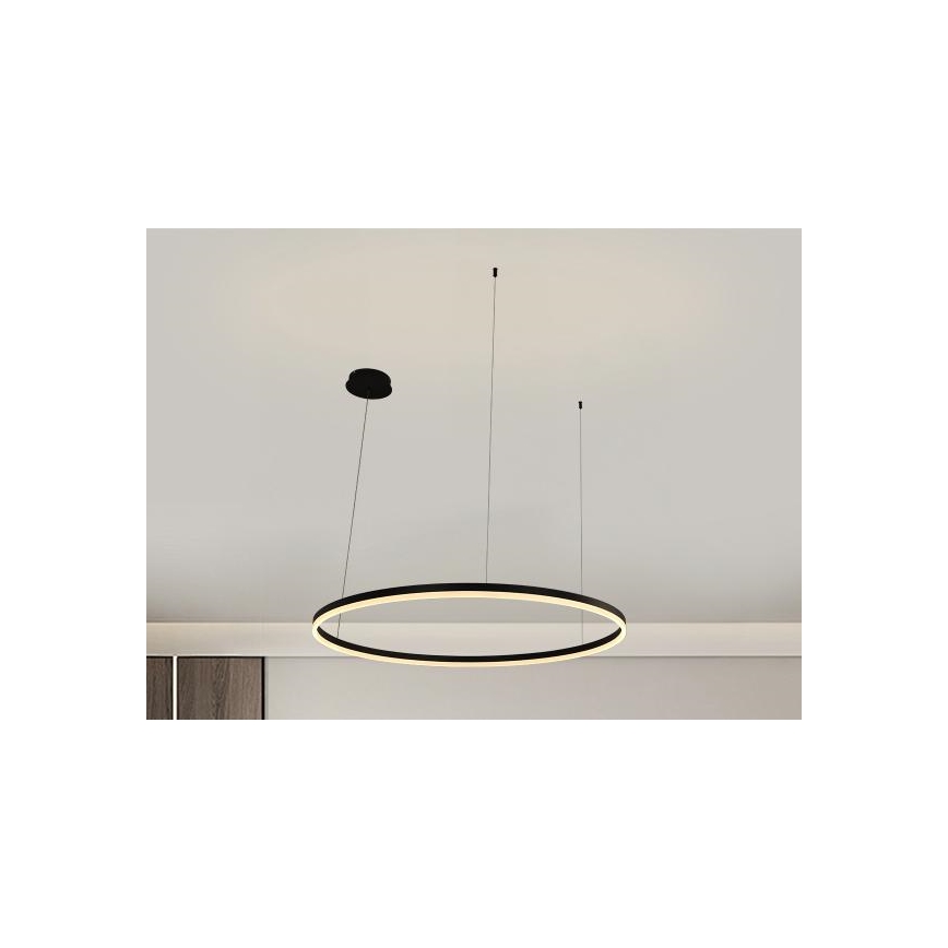 LED Zatemnitveni lestenec na vrvici LED/55W/230V 3000-6500K + Daljinski upravljalnik
