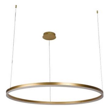 LED Zatemnitveni lestenec na vrvici LED/55W/230V 3000-6500K + Daljinski upravljalnik