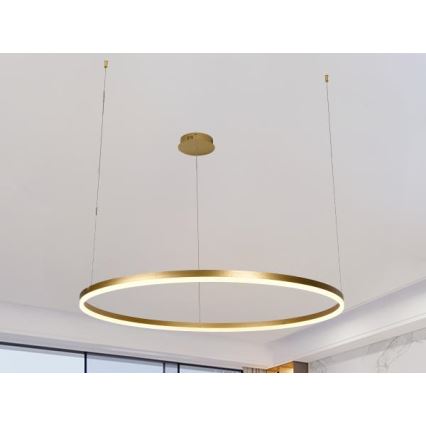 LED Zatemnitveni lestenec na vrvici LED/55W/230V 3000-6500K + Daljinski upravljalnik