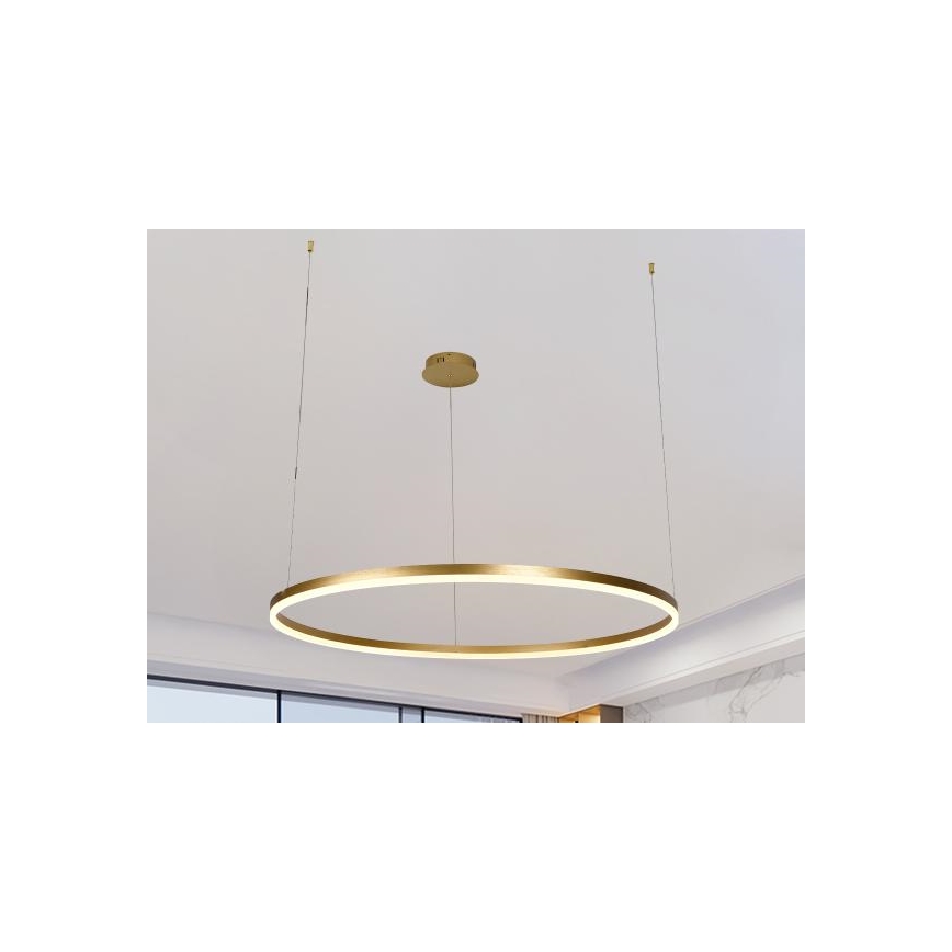 LED Zatemnitveni lestenec na vrvici LED/55W/230V 3000-6500K + Daljinski upravljalnik