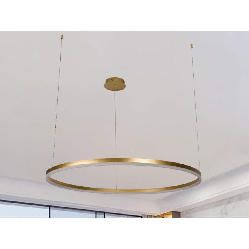 LED Zatemnitveni lestenec na vrvici LED/55W/230V 3000-6500K + Daljinski upravljalnik