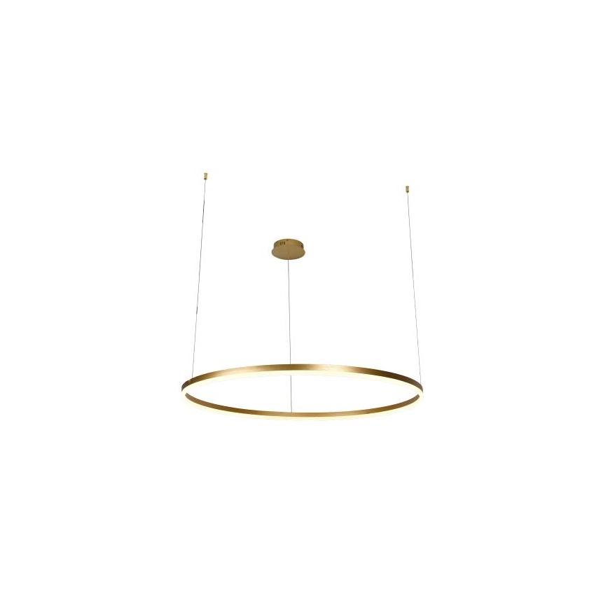 LED Zatemnitveni lestenec na vrvici LED/55W/230V 3000-6500K + Daljinski upravljalnik