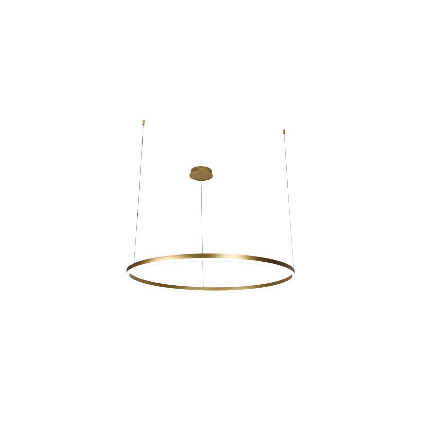 LED Zatemnitveni lestenec na vrvici LED/55W/230V 3000-6500K + Daljinski upravljalnik