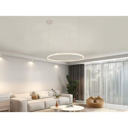LED Zatemnitveni lestenec na vrvici LED/55W/230V 3000-6500K + Daljinski upravljalnik