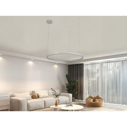 LED Zatemnitveni lestenec na vrvici LED/55W/230V 3000-6500K + Daljinski upravljalnik