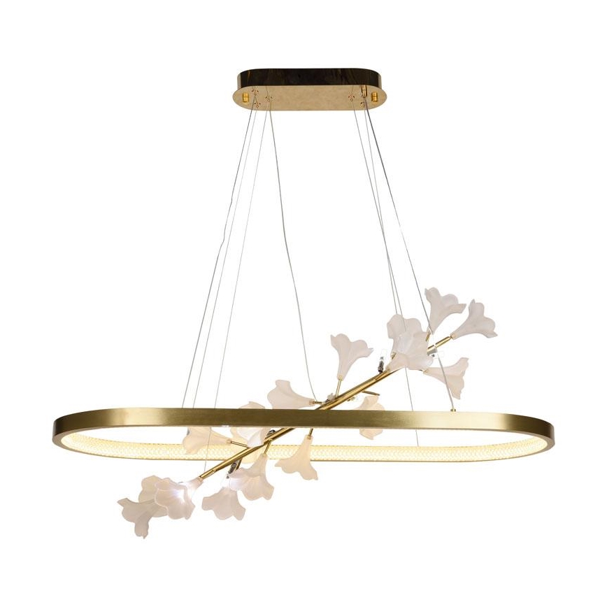 LED Zatemnitveni lestenec na vrvici LED/65W/230V 3000-6500K + Daljinski upravljalnik