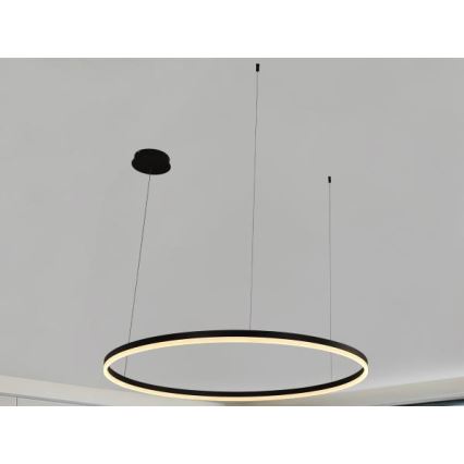 LED Zatemnitveni lestenec na vrvici LED/72W/230V 3000-6500K + Daljinski upravljalnik