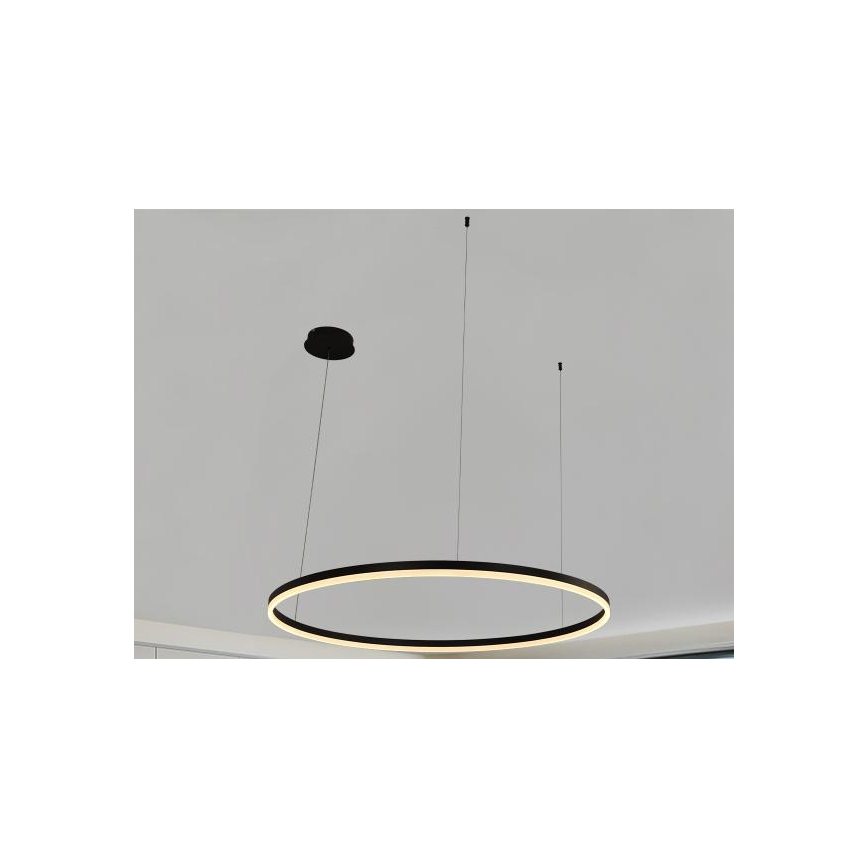 LED Zatemnitveni lestenec na vrvici LED/72W/230V 3000-6500K + Daljinski upravljalnik