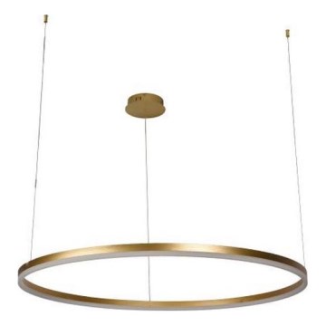 LED Zatemnitveni lestenec na vrvici LED/72W/230V 3000-6500K + Daljinski upravljalnik