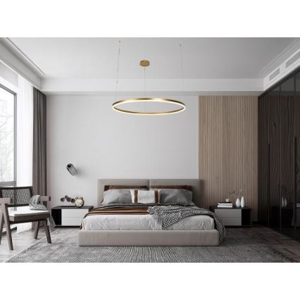 LED Zatemnitveni lestenec na vrvici LED/72W/230V 3000-6500K + Daljinski upravljalnik