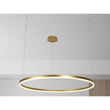 LED Zatemnitveni lestenec na vrvici LED/72W/230V 3000-6500K + Daljinski upravljalnik