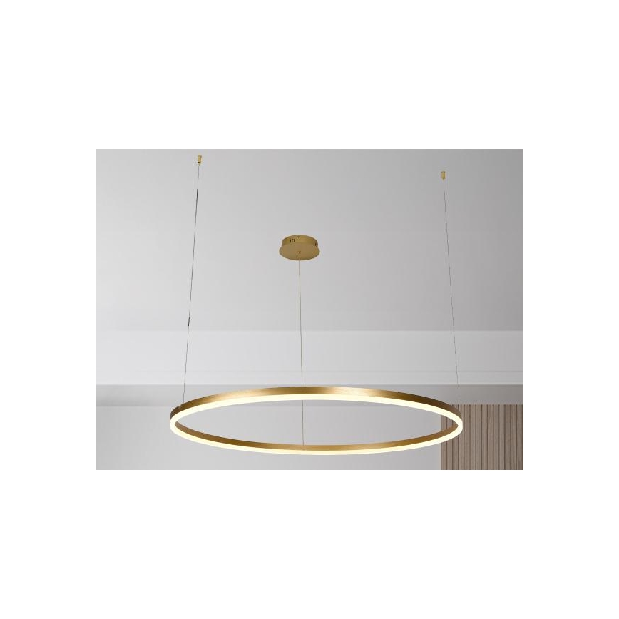 LED Zatemnitveni lestenec na vrvici LED/72W/230V 3000-6500K + Daljinski upravljalnik