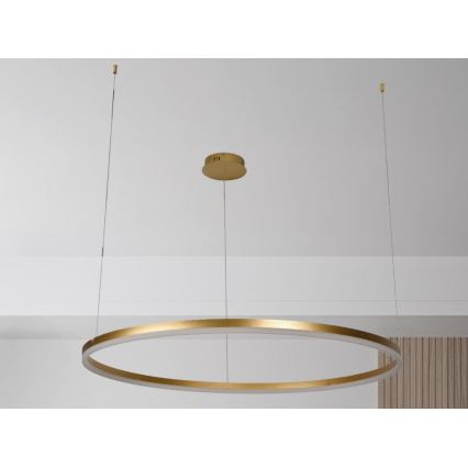 LED Zatemnitveni lestenec na vrvici LED/72W/230V 3000-6500K + Daljinski upravljalnik