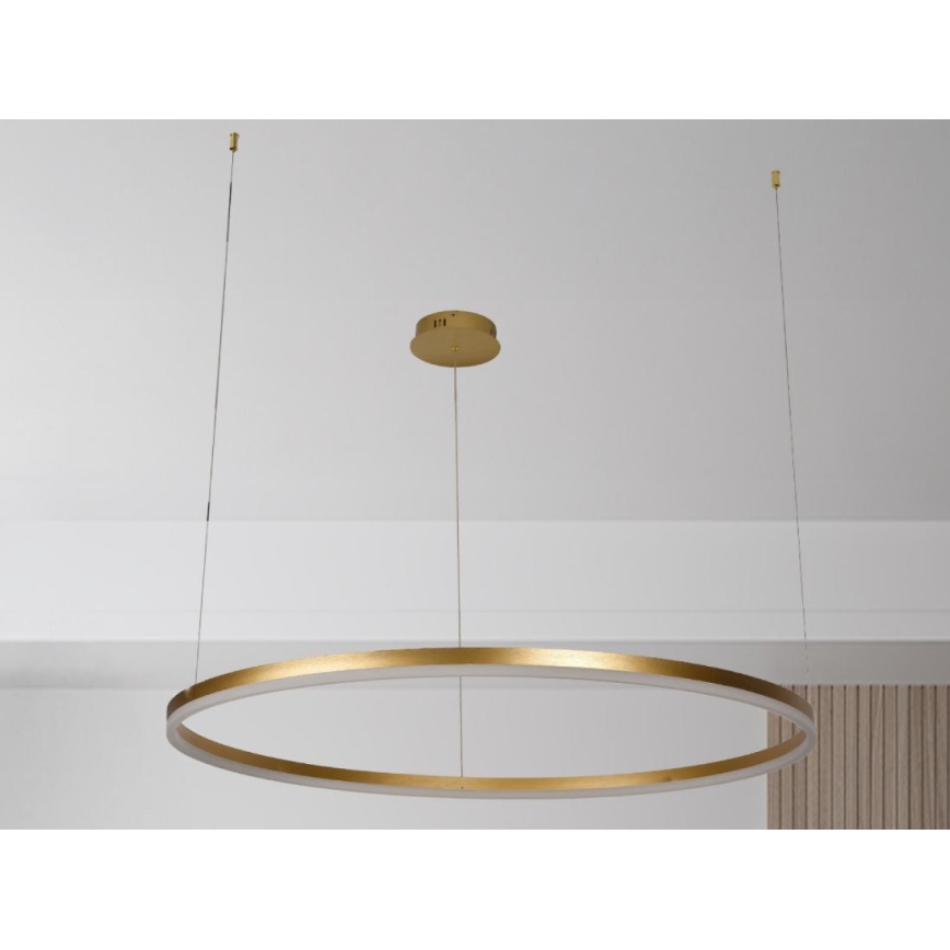 LED Zatemnitveni lestenec na vrvici LED/72W/230V 3000-6500K + Daljinski upravljalnik