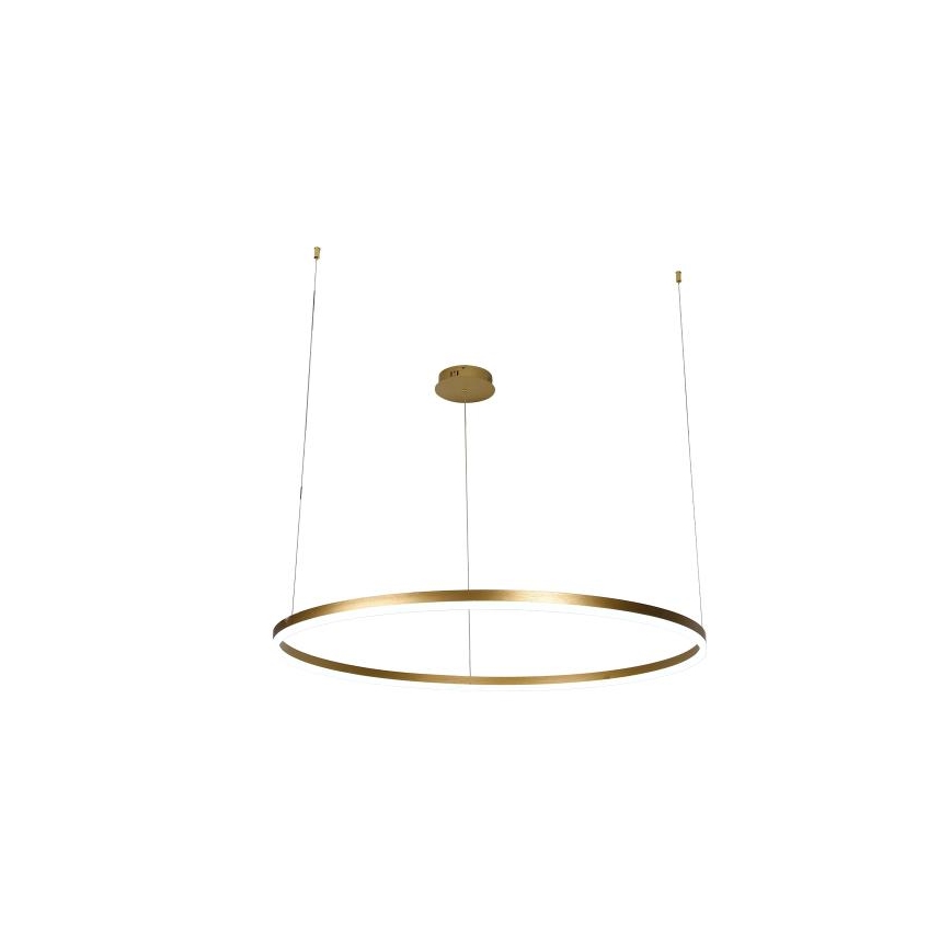 LED Zatemnitveni lestenec na vrvici LED/72W/230V 3000-6500K + Daljinski upravljalnik