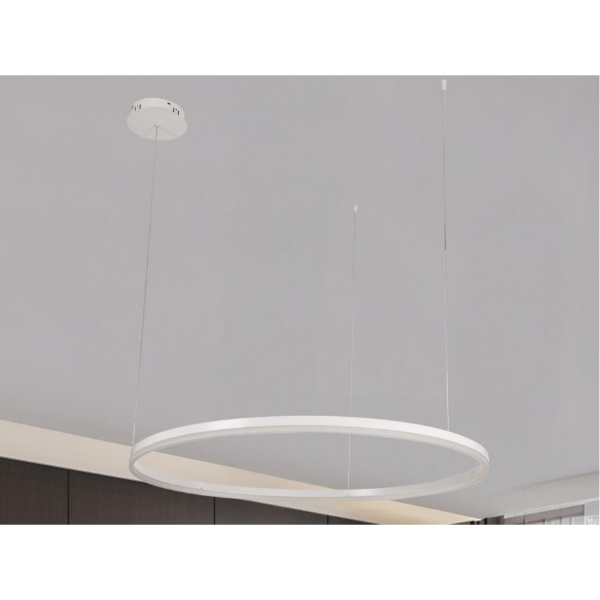 LED Zatemnitveni lestenec na vrvici LED/72W/230V 3000-6500K pr. 100 cm + Daljinski upravljalnik