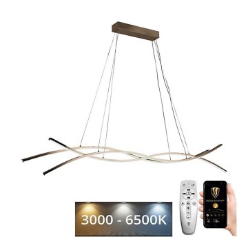 LED Zatemnitveni lestenec na vrvici LED/80W/230V 3000-6500K + Daljinski upravljalnik