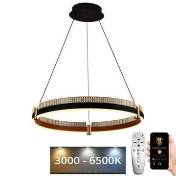 LED Zatemnitveni lestenec na vrvici LED/80W/230V 3000-6500K pr. 60 cm + Daljinski upravljalnik