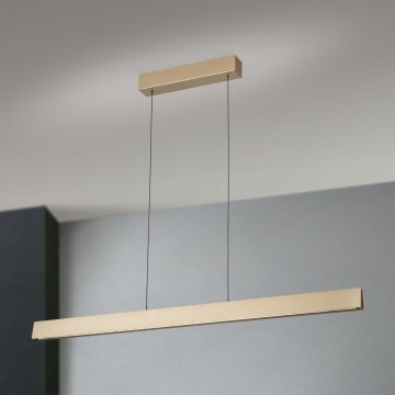 LED Zatemnitveni lestenec na vrvici TARA LED/44W/230V 2700/3800/4500/5700K zlata