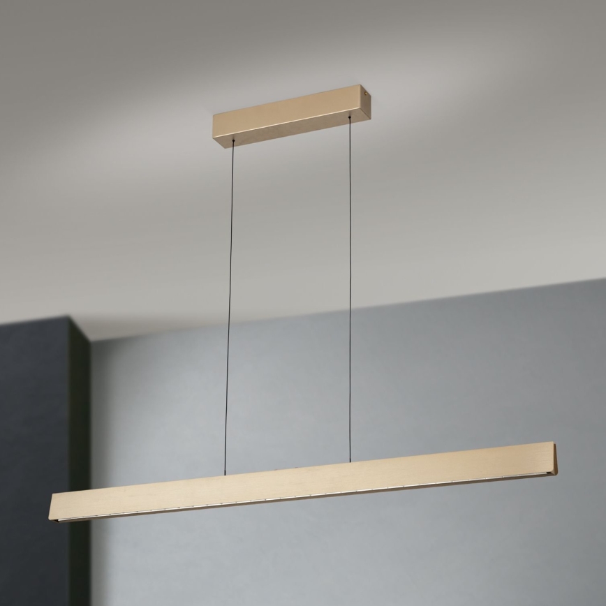 LED Zatemnitveni lestenec na vrvici TARA LED/44W/230V 2700/3800/4500/5700K zlata