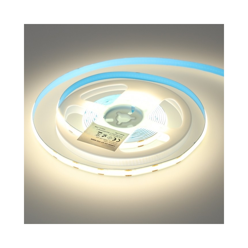 LED Zatemnitveni trak LED/25W/230V 3m 4000K