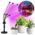 LED zatemnjevalna prilagodljiva namizna svetilka za gojenje rastlin VITARO 4xLED/10W/230V črna