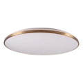 LED zatemnjevalna stropna svetilka KERN LED/80W/230V 3000/4000/6000K, premer 80 cm, zlata + daljinski upravljalnik