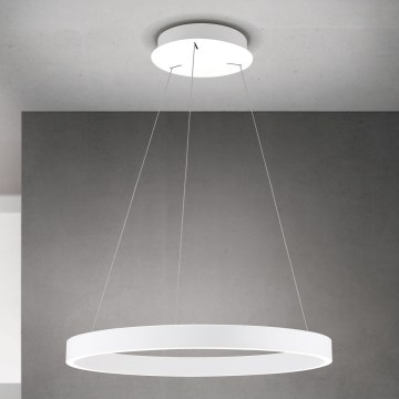 LED zatemnjevalni lestenec na kablu KOLK LED/60W/230V 2700/3000/4000K premer 60 cm bela