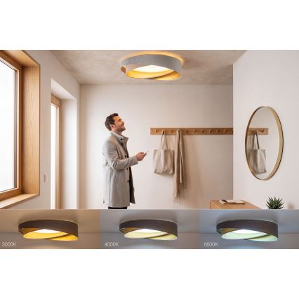 LED zatemnljiva stropna svetilka SMART GALAXY MODERN LED/24W/230V 3000–6500 K, premer 55 cm, siva/bežna/zlata + daljinski upravljalnik