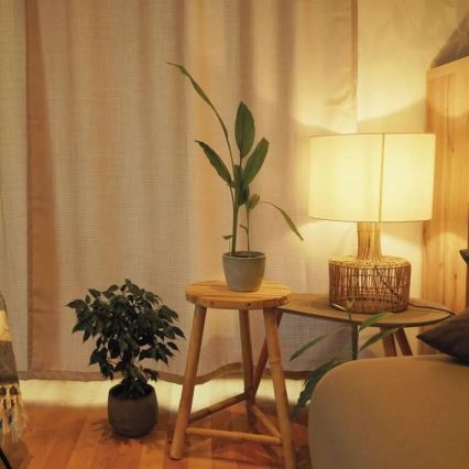 LED zatemnjiva žarnica A60 E27/10,5W/230V 2700K