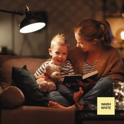 LED zatemnjiva žarnica A60 E27/10,5W/230V 2700K