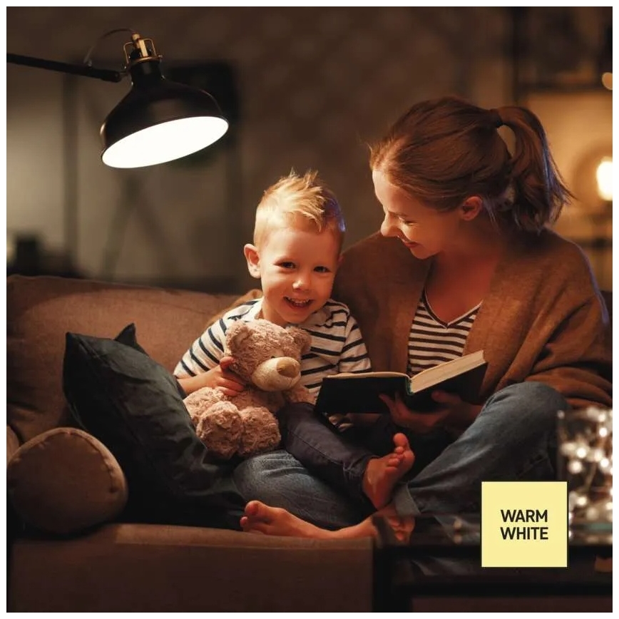 LED zatemnjiva žarnica A60 E27/10,5W/230V 2700K