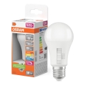 LED zatemnjiva žarnica CLASSIC A60 E27/8,8W/230V 2700/3000/4000/6500K - Osram