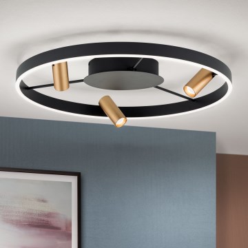 LED zatemnljiva stropna svetilka BERLIN LED/50W/230V črna/zlata