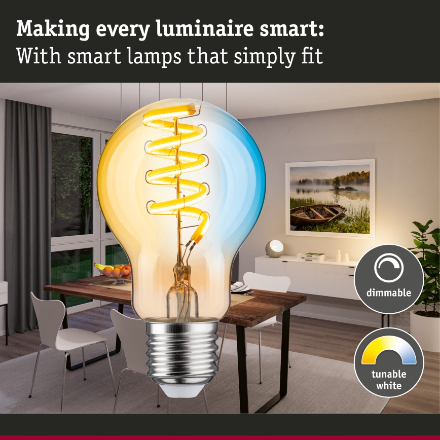 LED zatemnljiva žarnica FILAMENT E27/7,5W/230V 2200-5500K - Paulmann 29155