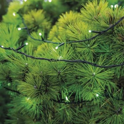 LED Zunanja božična veriga 100xLED/10m IP44 zelena