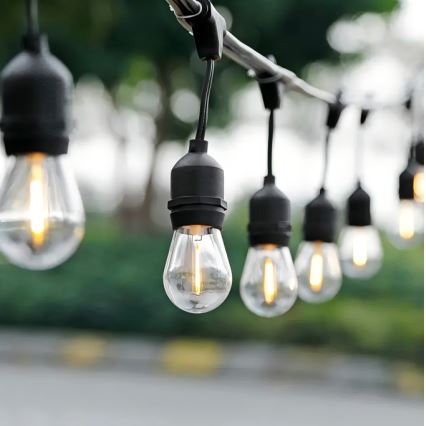 LED Zunanja dekorativna veriga 10xE27/1W/230V 10 m IP65 črna