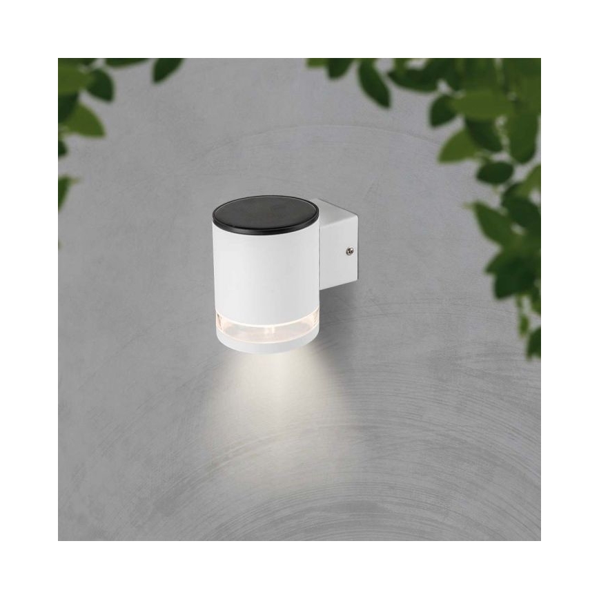 LED Zunanja solarna stenska svetilka LED/1W/3,7V 3000K IP54 bela