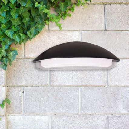 LED zunanja stenska svetilka ALABAMA LED/12W/230V IP54 črna