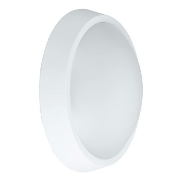 LED Zunanja stenska svetilka BULKHEAD LED/30W/230V 4000K IP54 bela