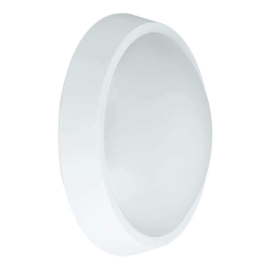 LED Zunanja stenska svetilka BULKHEAD LED/30W/230V 4000K IP54 bela