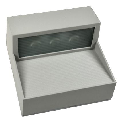 LED Zunanja stenska svetilka CARRI LED/3W/230V IP54