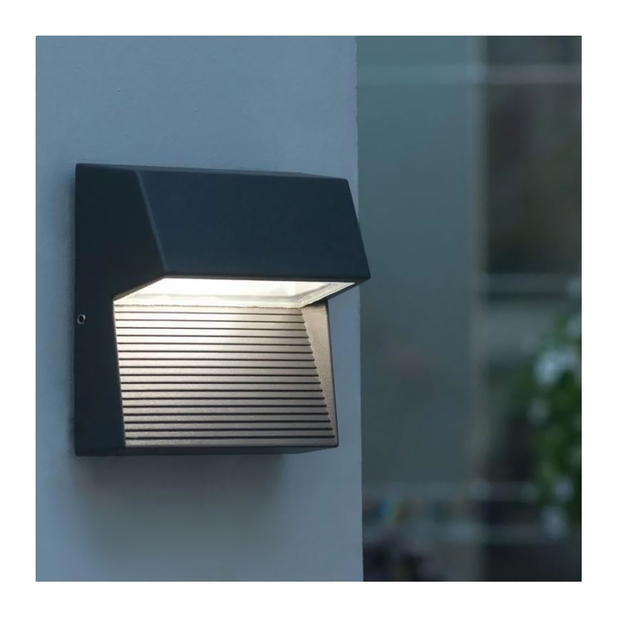 LED Zunanja stenska svetilka CARRI LED/3W/230V IP54