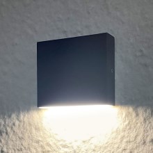 LED Zunanja stenska svetilka CHICAGO LED/3,5W/230V IP44 črna