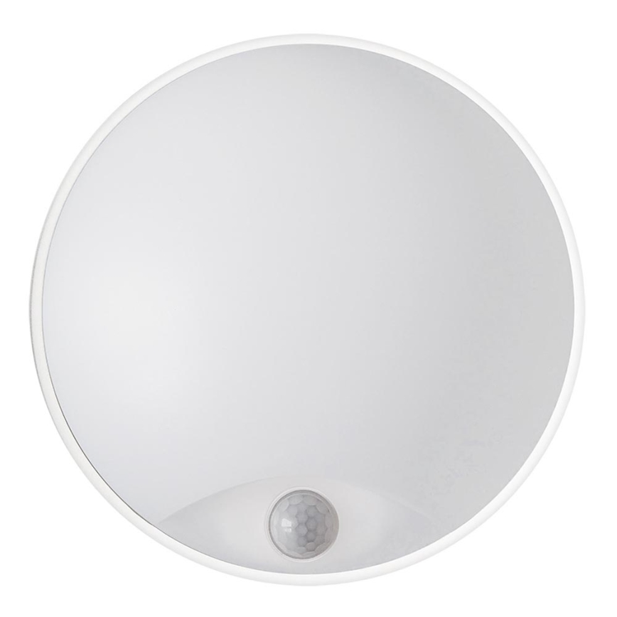 LED Zunanja stenska svetilka DITA ROUND LED/14W/230V IP54