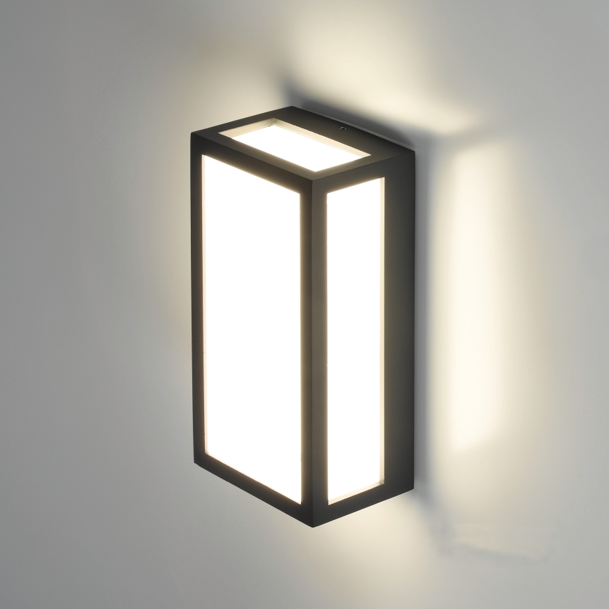 LED Zunanja stenska svetilka ENTERA LED/10W/230V 4000K IP54