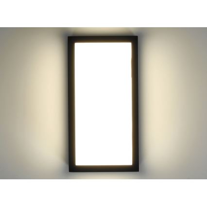 LED Zunanja stenska svetilka ENTERA LED/10W/230V 4000K IP54